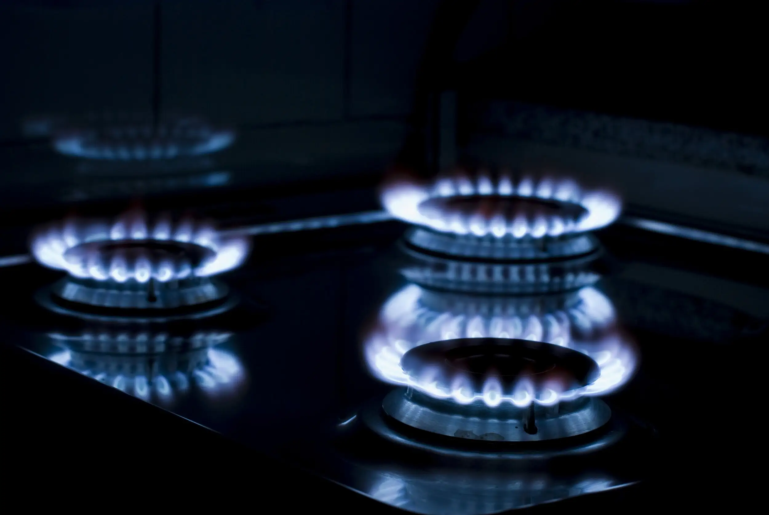 Close-up of blue gas flames on a hob